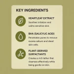 Anua Heartleaf + BHA Pore Deep Cleansing Foam (150ml) - Image 5