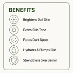 SKIN1004 Madagascar Centella Tone Brightening Capsule Ampoule (100ml) - Image 7
